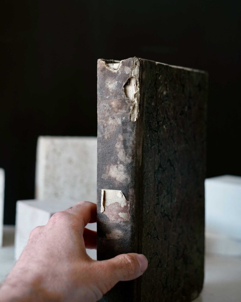 Nicola Beregani, Historia delle Guerre d’Europa dalla Comparsa delle Armi Ottomane nell’Hungheria (1683), Part II, Venice 1698, Contemporary Binding